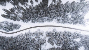 Bird eye’s view!, by Kimon Maritz